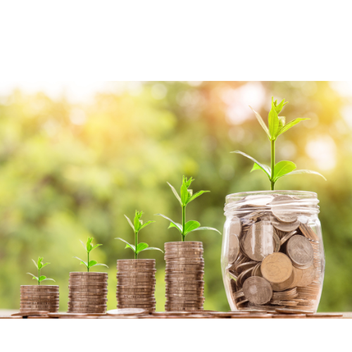 best low-risk investment options in india after 50