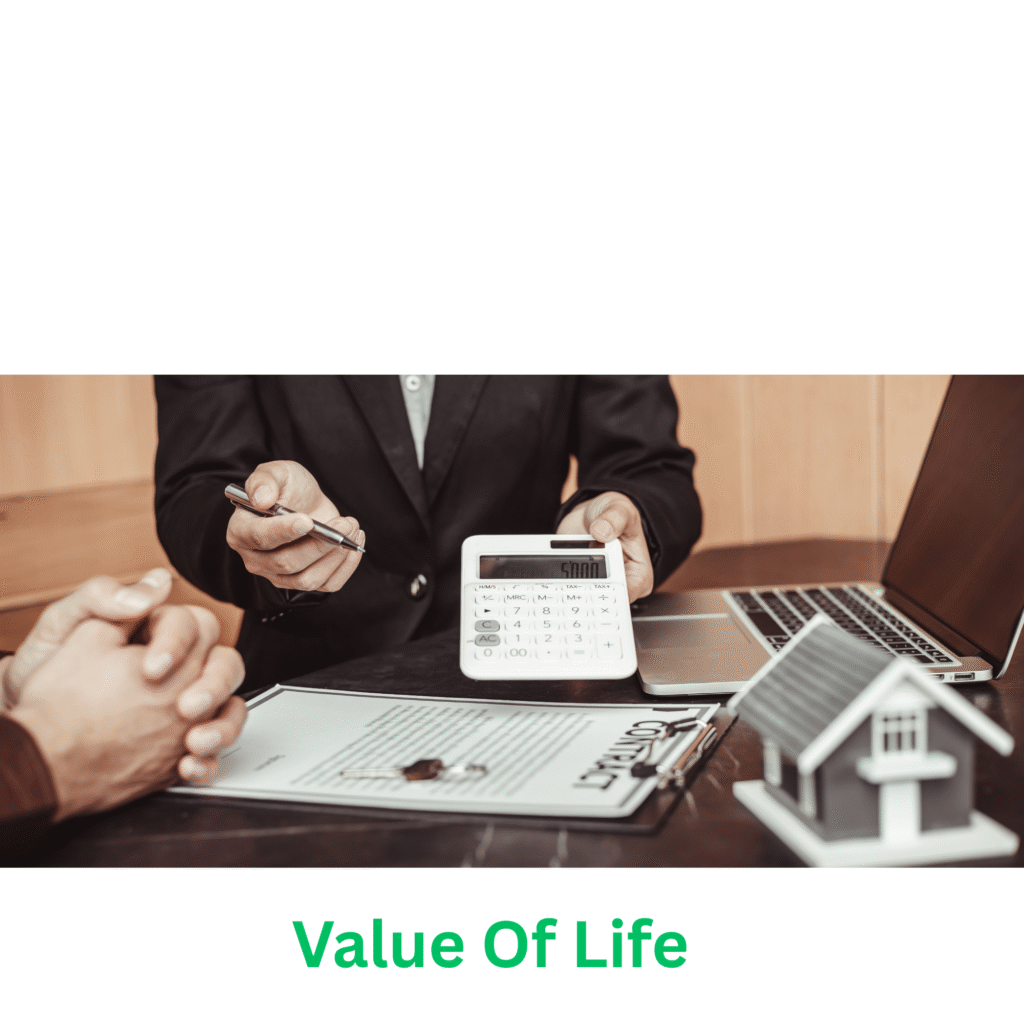 value of life